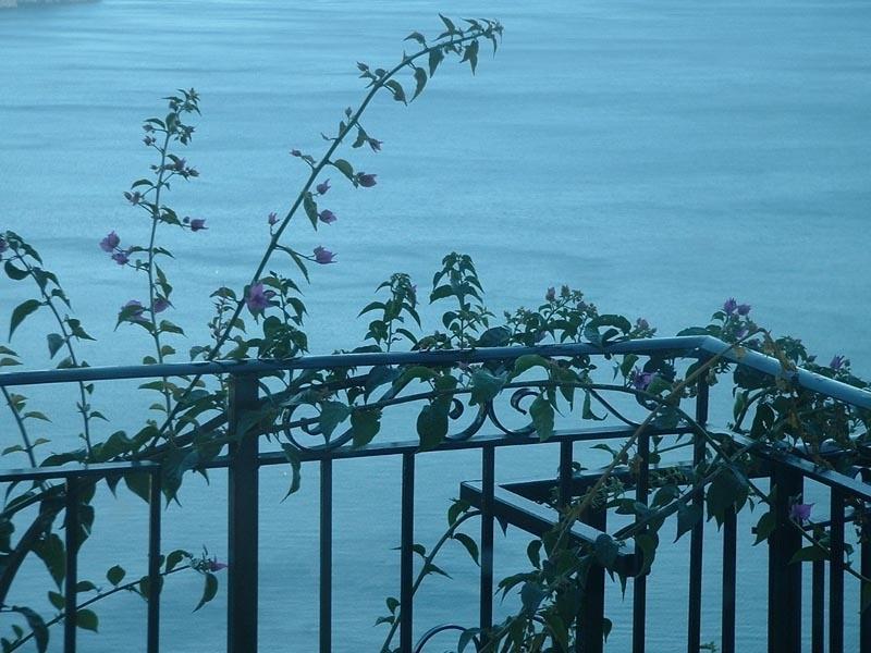 Il Giardino Dei Limoni Διαμέρισμα Ραβέλλο Εξωτερικό φωτογραφία